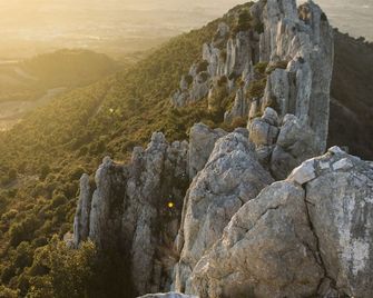 Le Mas Terre des Anges - Sarrians