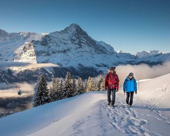 Eiger Guest House - Grindelwald - Grindelwald