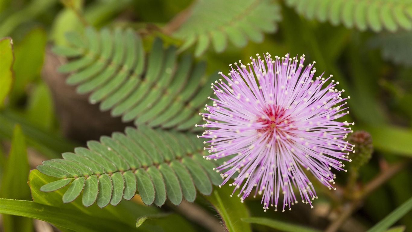 Bandung Permai Hotel