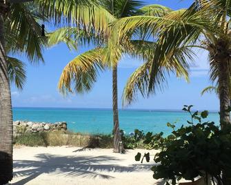 Beachfront ~ Breath Taking Viewbrbiminicove, South Bimini - Port Royal - Beach