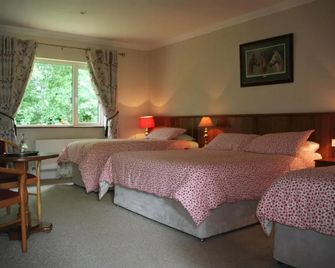Applecroft House - Killarney - Habitación