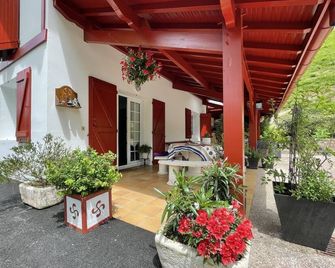 Mendi beheria - Uhart-Cize - Patio