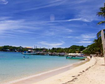 Mame Trees - Coxen Hole - Beach