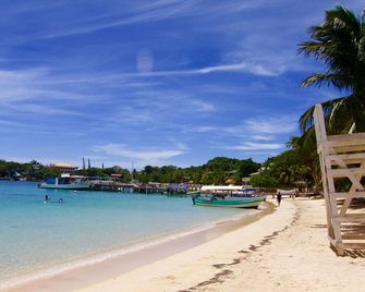 Mame Trees - Coxen Hole - Plage