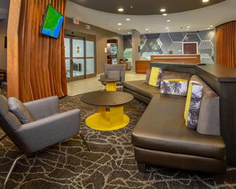 Springhill Suites Centreville Chantilly - Centreville - Lounge