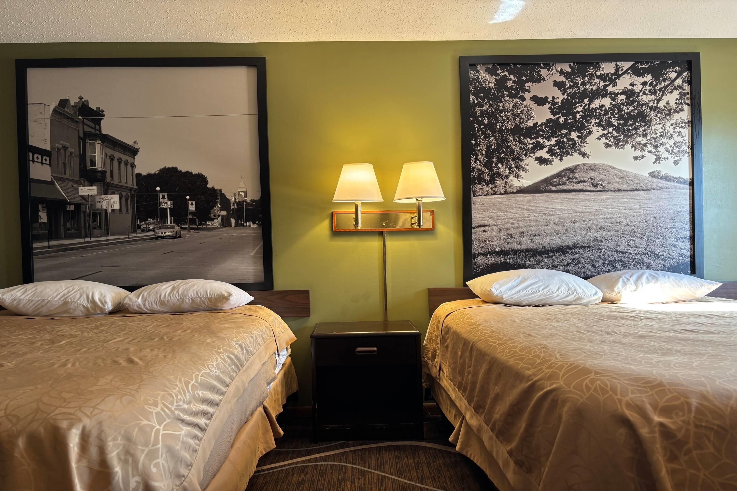 Super 8 by Wyndham Normal Bloomington - Normal - Schlafzimmer