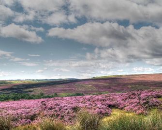 Cornlee - Leyburn - Outdoor view