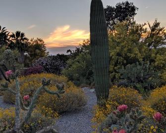 Gorgeous Views, Landscaping, Pristine Pool Near Catalina Mountains, Wifi, More! - Casas Adobes - Vista del exterior