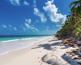 Beachfront Tulum Villa - Punta Allen - Playa