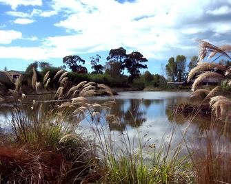 Accent House Luxury Boutique Bed & Breakfast - נלסון - בניין