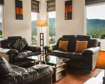 Panoramic Holiday Apartment - Luxury Studio | Nuwara Eliya - Nuwara Eliya - Living room