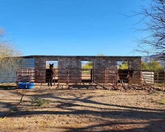 Desert Ranch Home 3 Bedroom + Equine Facility - Vail - Building