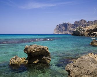 Sentido Don Pedro - Pollença