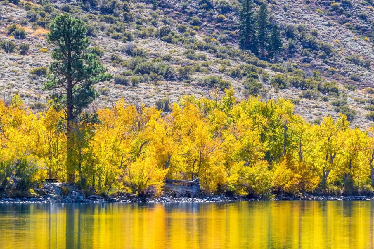 June Lake Motel thumbnail 3