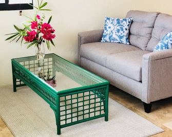 Bright Ocean View Studio - AC, Wi-Fi, generator 5 Mins to Cruz Bay - St. John - Living room