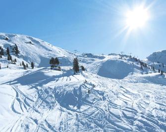 Apartment Huber-1 by Interhome - Zell am Ziller - Caratteristiche struttura