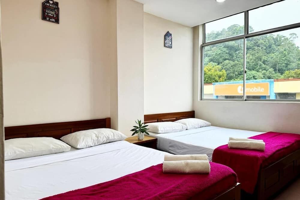 Town Inn Hotel - Rainforest