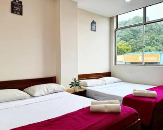 Town Inn Hotel - Rainforest - Jerantut - Chambre