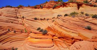 Best Western View of Lake Powell Hotel - Page - Servei de la propietat