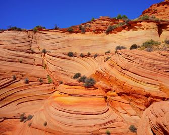 Best Western View of Lake Powell Hotel - Page - Boendets bekvämligheter