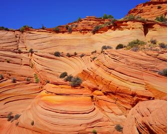 بست ويسترن فيو أوف ليك بويل هوتل - باج - وسائل الراحة في مكان الإقامة