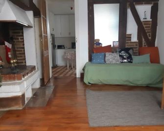 Maison Faubourg croncels - Troyes - Living room