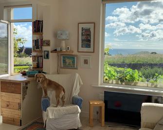 No12 Bed and Breakfast, St Andrews - סנט אנדרוז - סלון