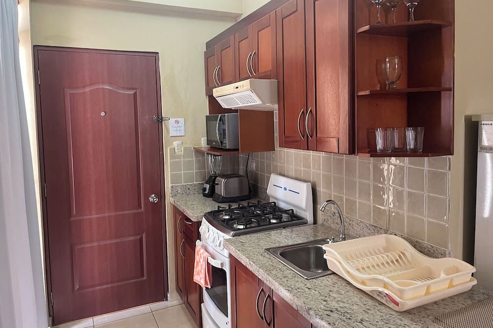 أبارتاهوتل ألفير - سانتو دومينغو - مطبخ