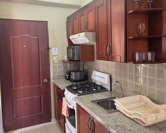 أبارتاهوتل ألفير - سانتو دومينغو - مطبخ