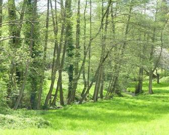 Holiday apartment garden paradise - Urbar (Mayen-Koblenz)