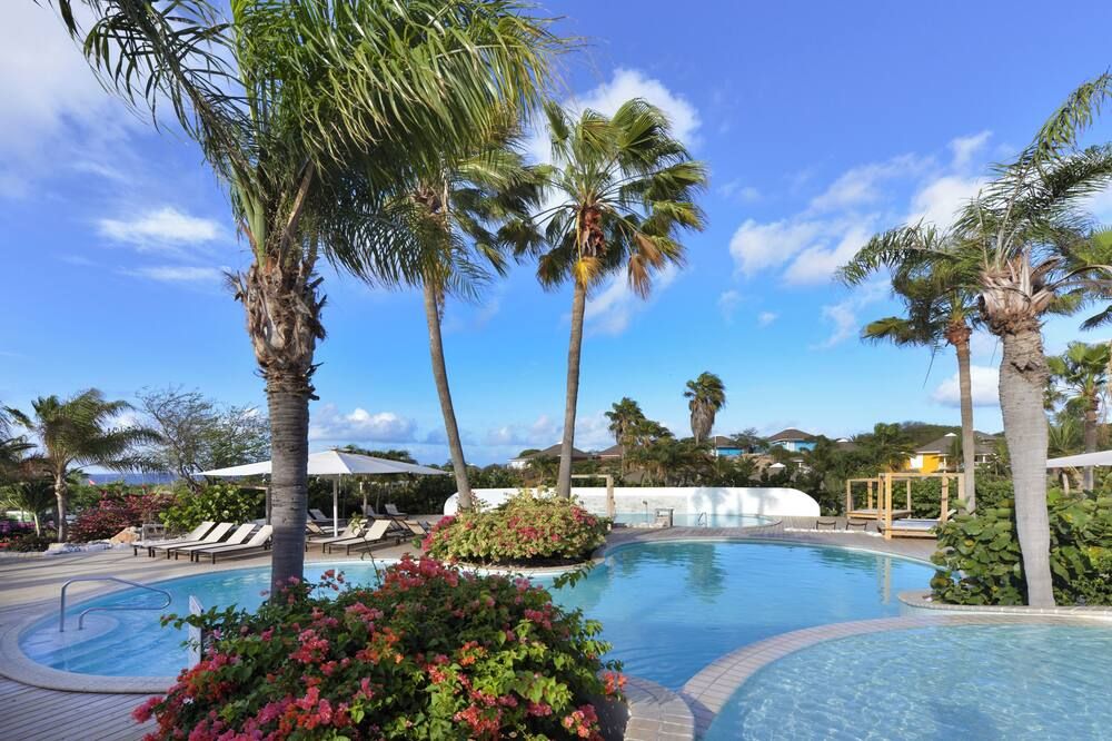 Chogogo Dive & Beach Resort Curacao - ווילמסטאד - בריכה