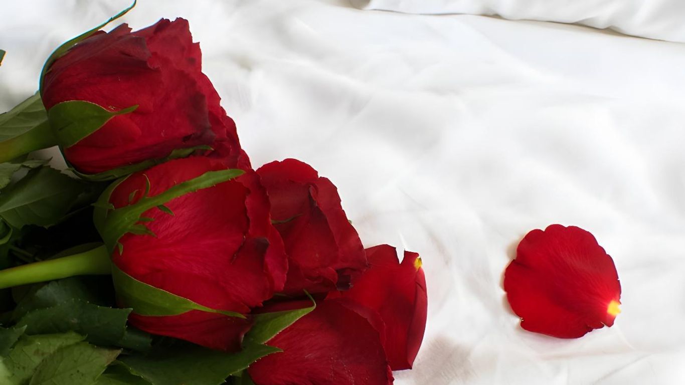 Hotel B&B Ardea Rimini