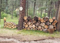 Private Jemez cabin near Fenton Lake - Jemez Springs