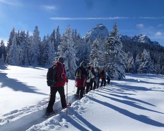 Hotel Krone - Matrei am Brenner