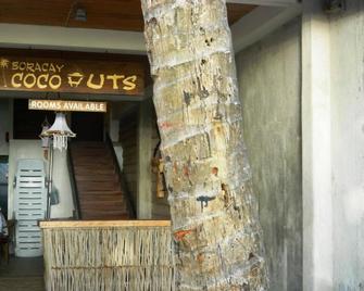 Boracay Coco Huts - Boracay