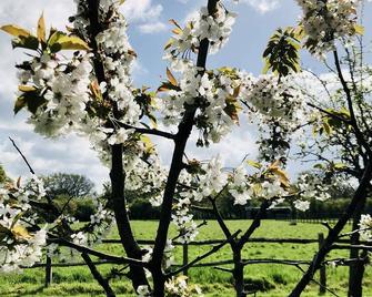 The Old Dairy cottage in West Chiltington, West Sussex - Pulborough - Outdoor view