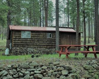 Quaint Cozy Cabin Near East Fork, Weekly And Monthly Rates, King Bed, Fireplacebr - Greer