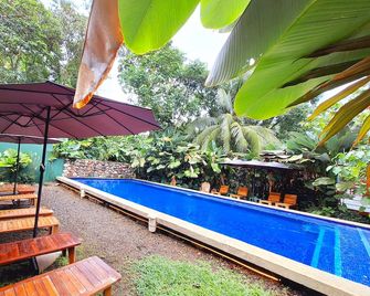 Corcovado & Drake Inn - El Progreso - Piscina