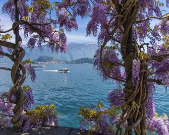 Regina Villetta - Laglio - Strand