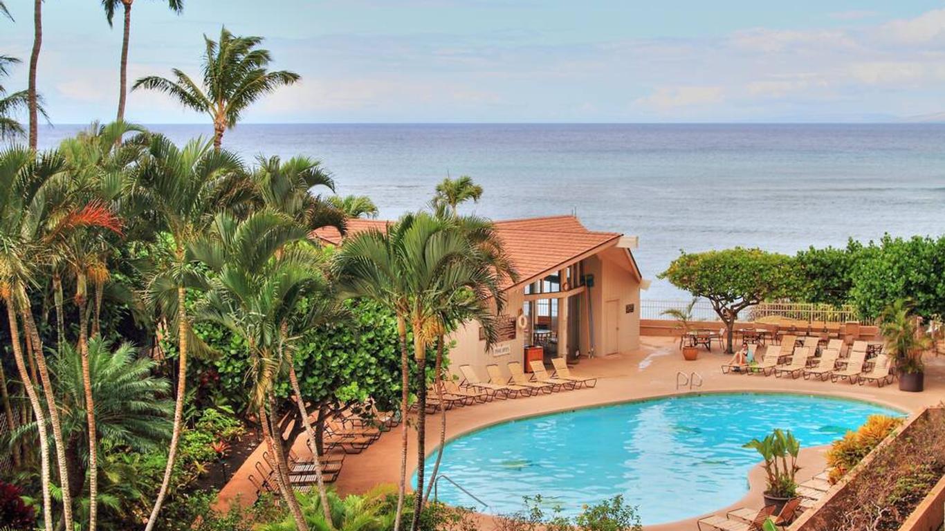 Royal Kahana #319