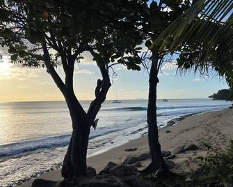 Charming Downtown Oasis 1-bedroom house with WiFi and AC in beautiful Rincón. - Rincon - Plage