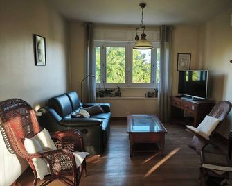 Fully self-contained apartment near the Canal du Midi and downtown - Castelnaudary - Wohnzimmer