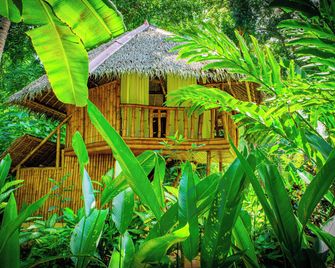 Water to Forest Ecolodge - Loboc