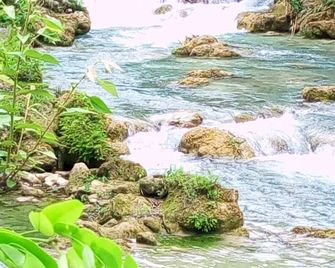 Room in Cabin - Cozy Sierraverde Cabins Cabana la Ceiba - Tamasopo - Vista del exterior