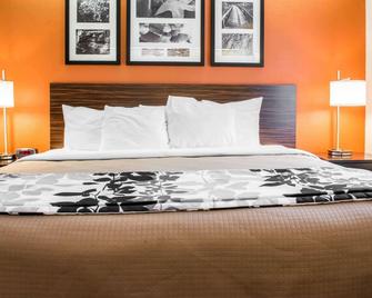 Quality Inn Bridgeport-Clarksburg - Bridgeport - Slaapkamer