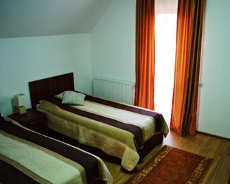 Pensiunea Ana - Satu Mare - Habitación