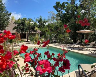 Maya Eco Village - Akumal