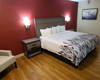 Red Roof Inn & Suites Cornelius - Lake Norman - Cornelius - Slaapkamer