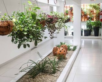 Hotel Encantos De Penedo Alagoas - Penedo