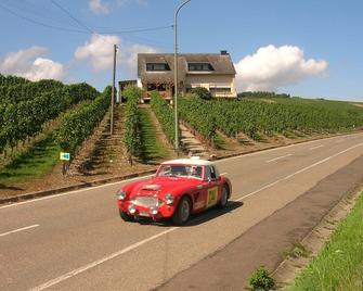 Romantic wine village large, quiet south-facing terrace, panoramic Moselle paths, garden sauna - Minheim - Vista del exterior